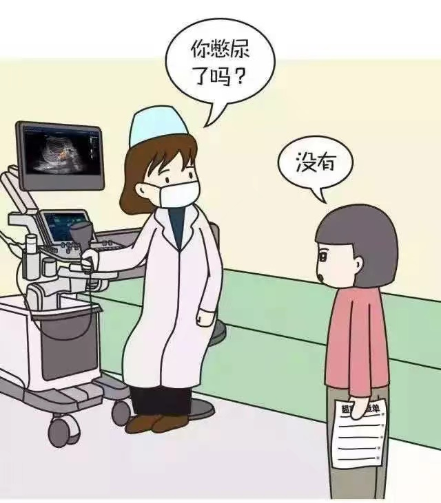 彩超都有哪些探头彩超知识小科普_https://www.jmylbn.com_新闻资讯_第3张
